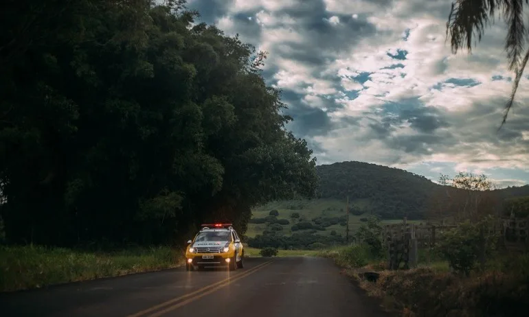 20-годишен крадец на дървесина наби горски с камшик - Tribune.bg