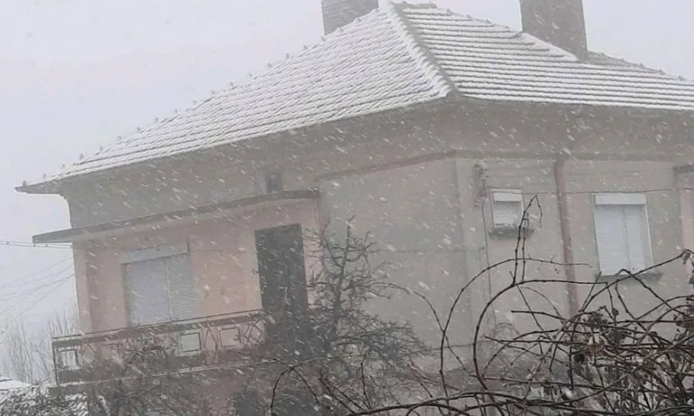 Обилен снеговалеж обхвана Северозападна България - Tribune.bg