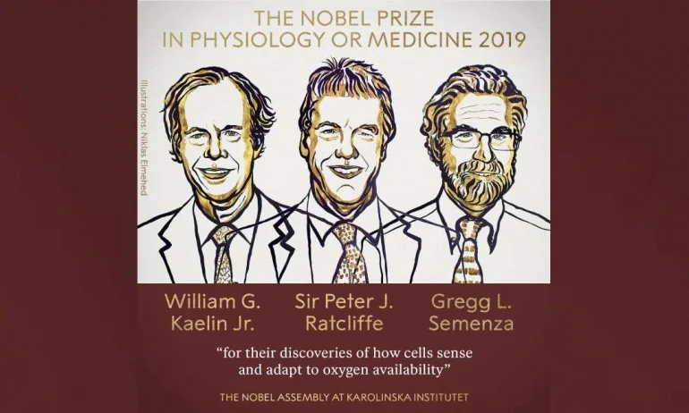 Учените, открили как живите клетки реагират на кислород, печелят Нобел за медицина - Tribune.bg