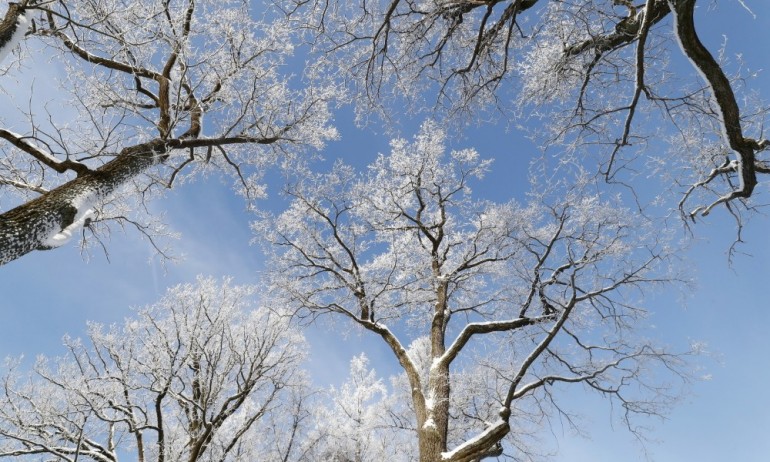 Значителна облачност, температурите ще се понижат - Tribune.bg