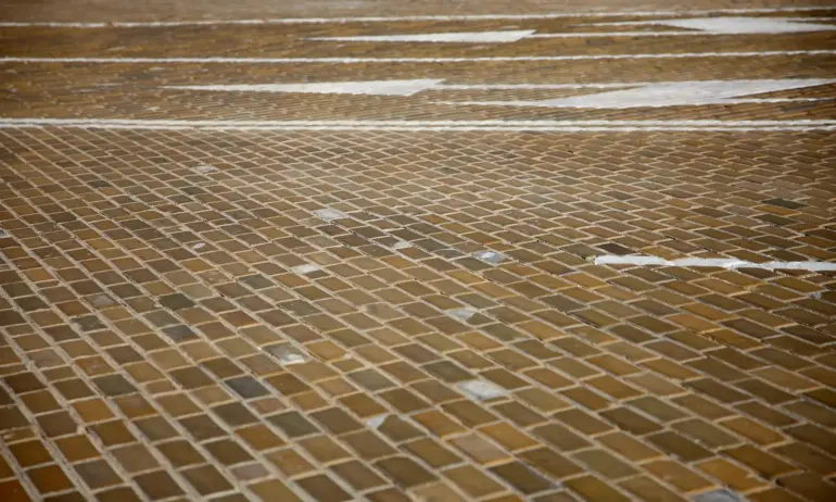 Ружа Райчева пусна тест: Истински жълтопаветник ли сте? - Tribune.bg