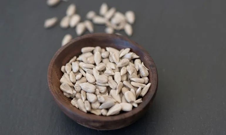 Семките също са храна - Tribune.bg