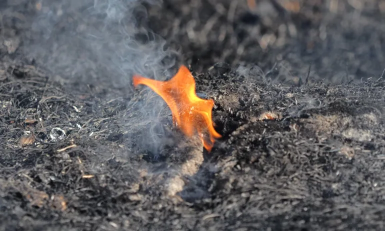 Пожар горя в благоевградското село Селище - Tribune.bg