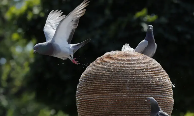 Жегите идват, чакат ни температури от над 40 градуса - Tribune.bg
