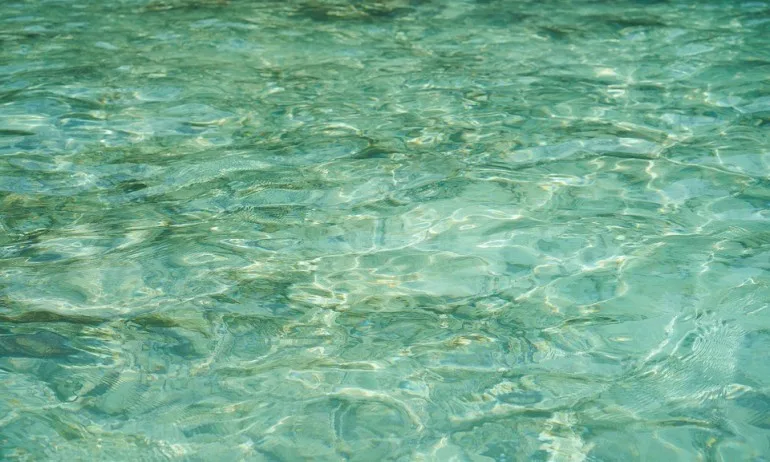 АПИ: Не са възлагани никакви дейности край р. Вит, свързани с изграждането на участък от АМ Хемус - Tribune.bg