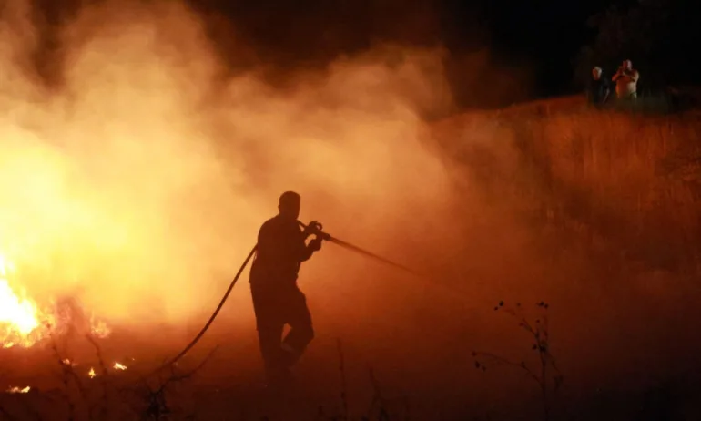 Над 10 вили изгоряха в бургаското село Изворище - Tribune.bg