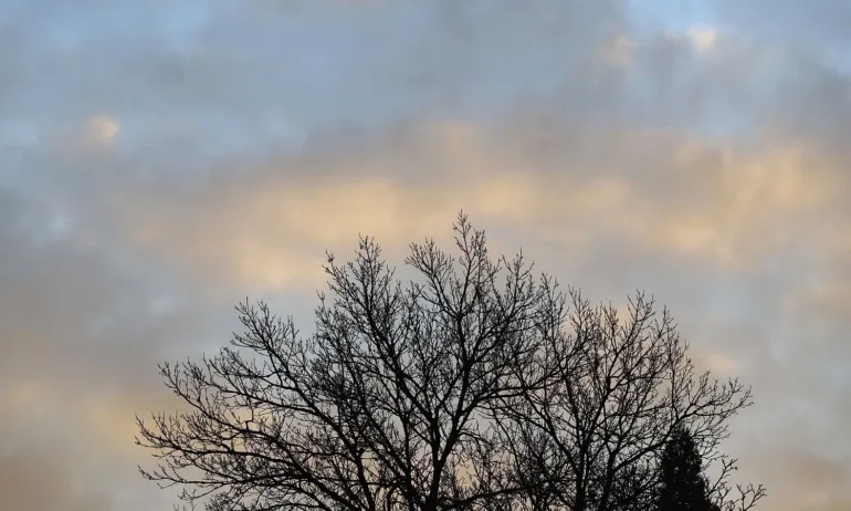 Жълт код за силен вятър и валежи - Tribune.bg