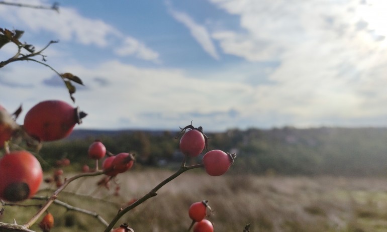 Последен топъл ден, от утре – дъжд и ниски температури - Tribune.bg