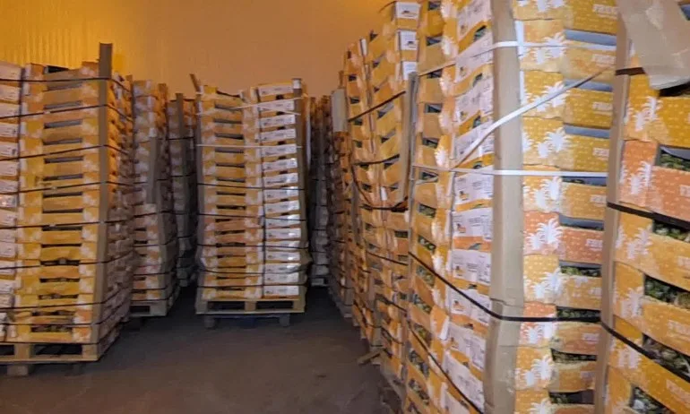 Трима на съд заради тоновете кокаин, скрит в кашони с плодове - Tribune.bg