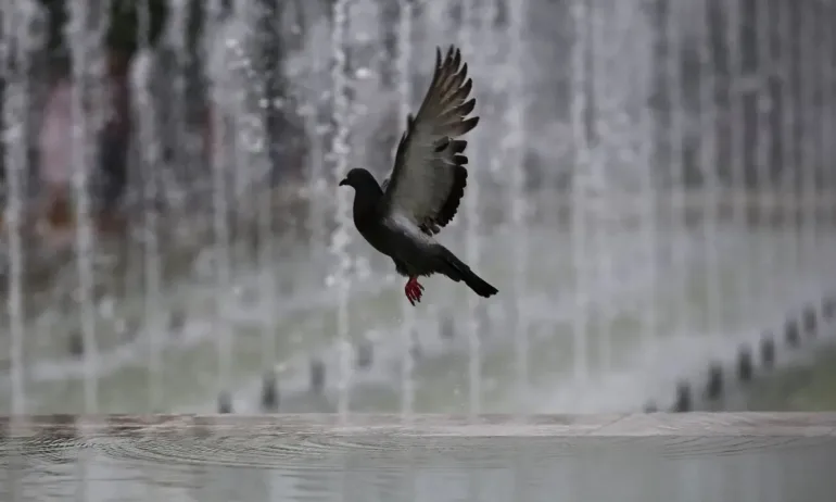 Слънчево и топло време днес, жълт код за високи температури - Tribune.bg