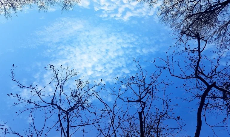 Слабо ще захладнее, ще бъде и ветровито - Tribune.bg