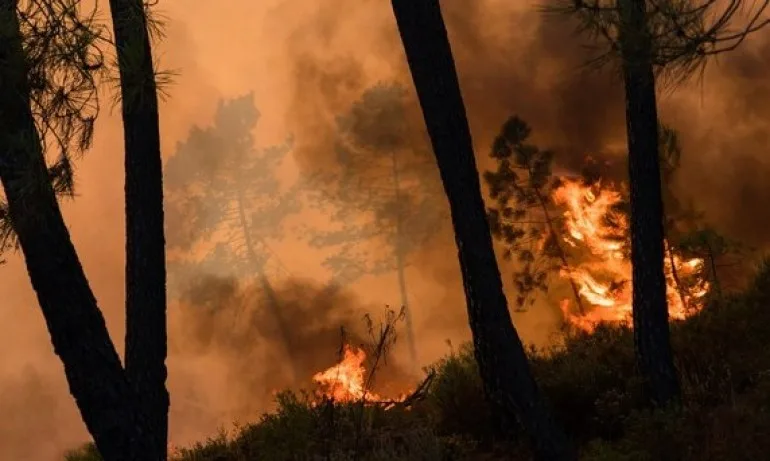 Ветровете и сушата засилват пожарите в Калифорния - Tribune.bg