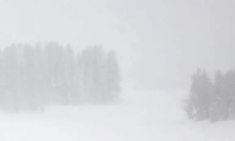 Петима скиори са открити мъртви в Швейцария - Tribune.bg