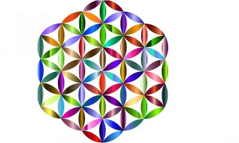 Цветето на живота - Tribune.bg