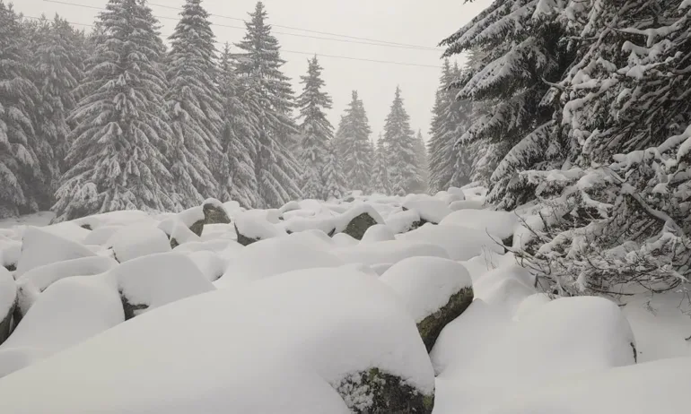 Витоша недостъпна заради непочистени пътища - Tribune.bg