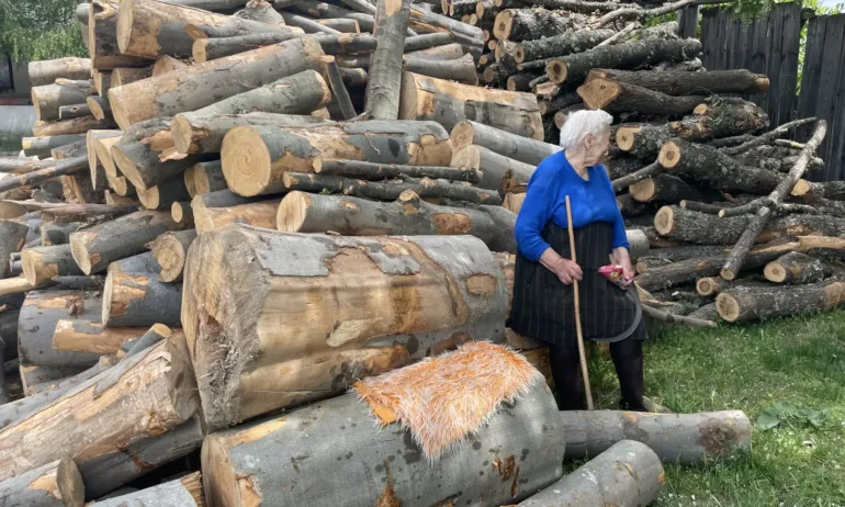Дървата за огрев не достигат: В родопско село се стигна до протест - Tribune.bg