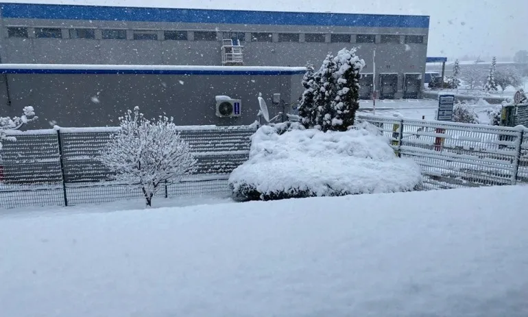 МВР: Няма бедстващи хора в страната заради усложнената зимна обстановка - Tribune.bg