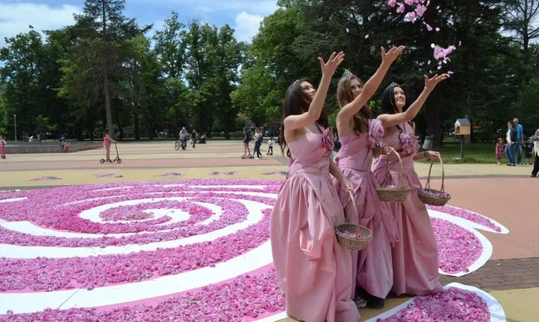 Пищно цветно пано от 72 000 розови цвята в Казанлък (ГАЛЕРИЯ) - Tribune.bg