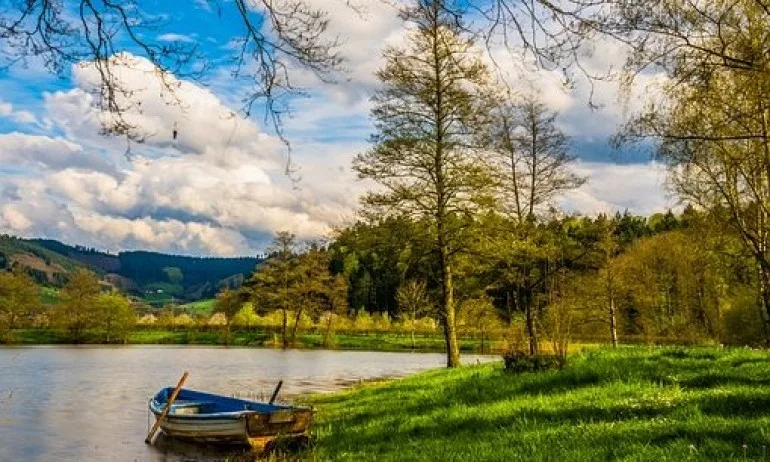 Лечебни снимки - Tribune.bg