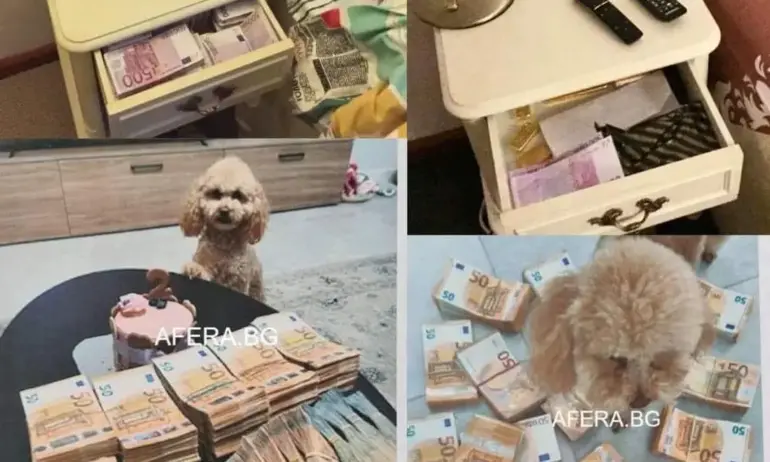 Цялата кампания на шайката от ППДБ се крепеше на пачки, чекмеджета – доказано манипулирана снимка - Tribune.bg