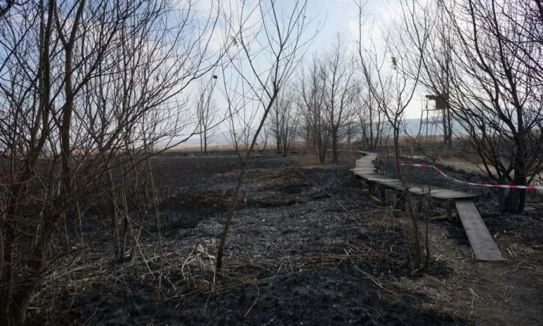 Над 80% от територията на Драгоманското блато е засегната от пожара - Tribune.bg