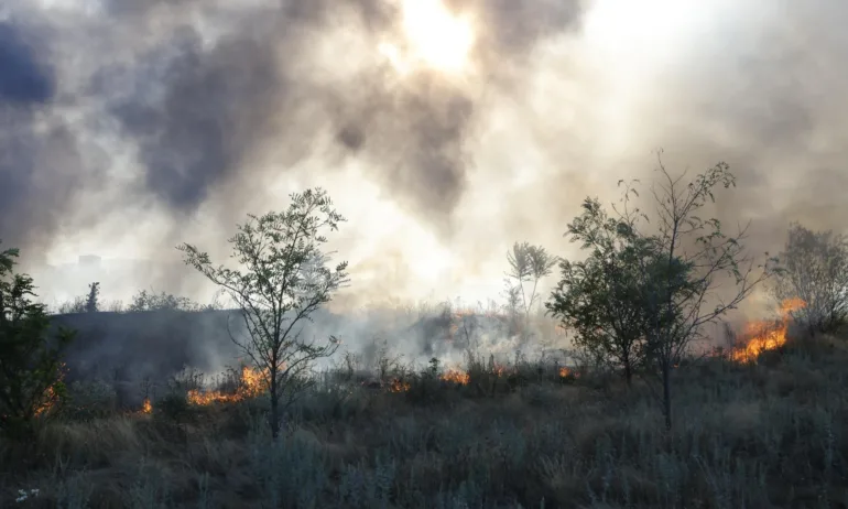 Пожарът край Сунгурларе върви към с. Скала, започва евакуация на жителите на селото - Tribune.bg