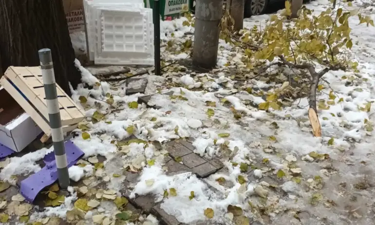 Предозиране: Кметът Терзиев смята, че при предишния сняг са се справили. София не била блокирана - Tribune.bg