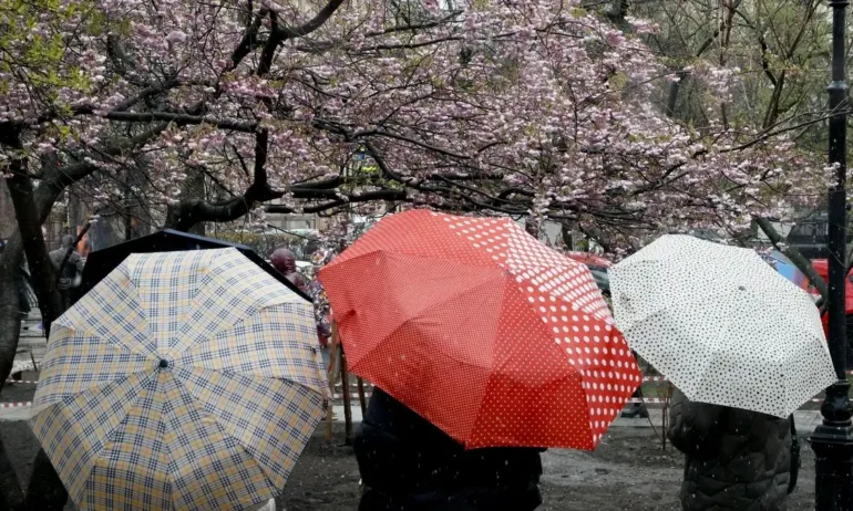 Жълт код за силни валежи и гръмотевици в пет области в сряда - Tribune.bg