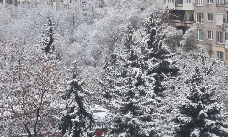 В София дойде зимата, 148 снегопочистващи машини работят срещу заледяване - Tribune.bg