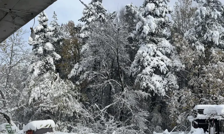 Тежка ситуация в селата Бистрица, Панчарево и Лозен - Tribune.bg