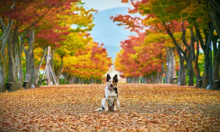 Времето се стабилизира. Очакват ни няколко слънчеви дни - (КАРТИ) - Tribune.bg