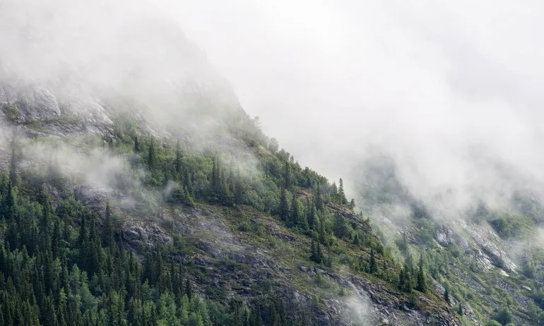 Скъпоценности за над 1 милион долара в ковчеже открити в Скалистите планини на Санта Фе - Tribune.bg