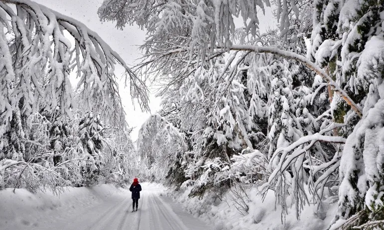 Италианец скитал 400 км в студа да се успокои след скандал с жена си - Tribune.bg
