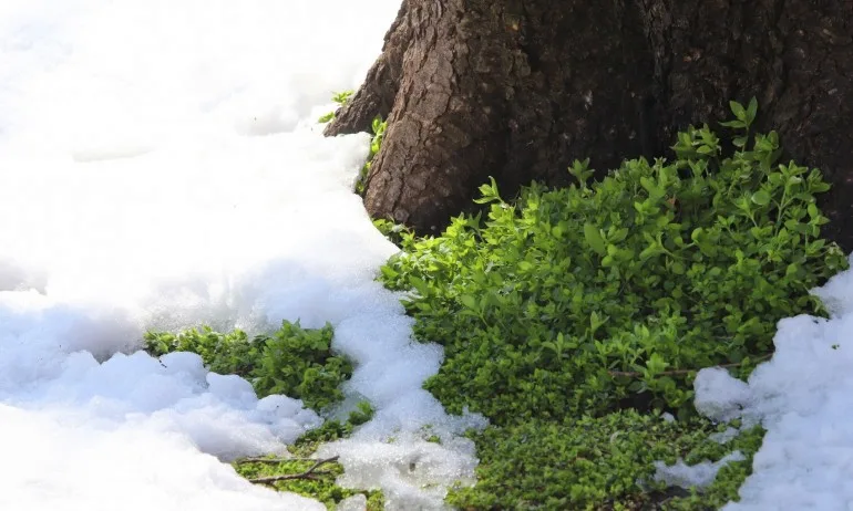 Започва затоплянето, температурите тръгват нагоре - Tribune.bg