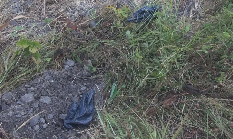 Откриха разчленен труп в Бургас - Tribune.bg