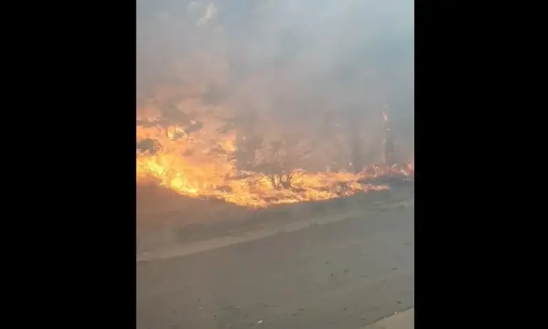 Голям пожар в Бургас, близо е до кв. Ветрен (ВИДЕО) - Tribune.bg
