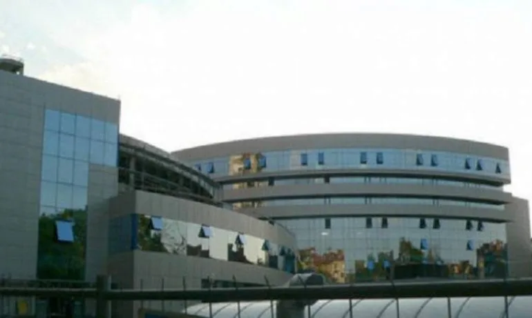 Кане Корсо убили кучето на Иво Прокопиев – прокуратурата проверява сигнала за агресивните кучета - Tribune.bg