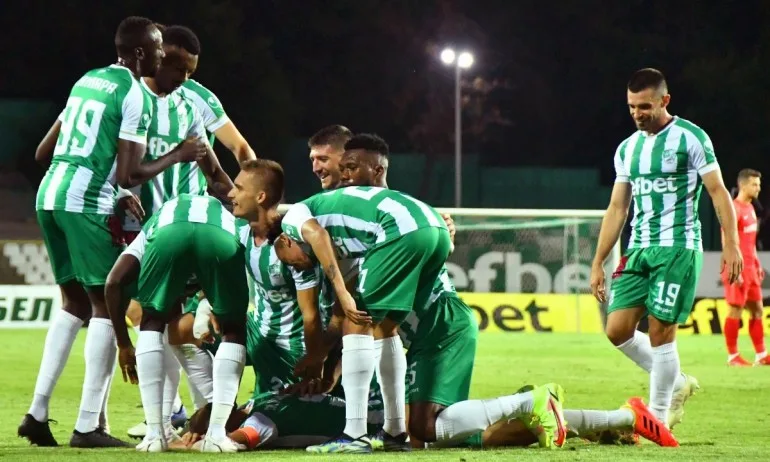 Берое търси заместник на Камбуров - Tribune.bg