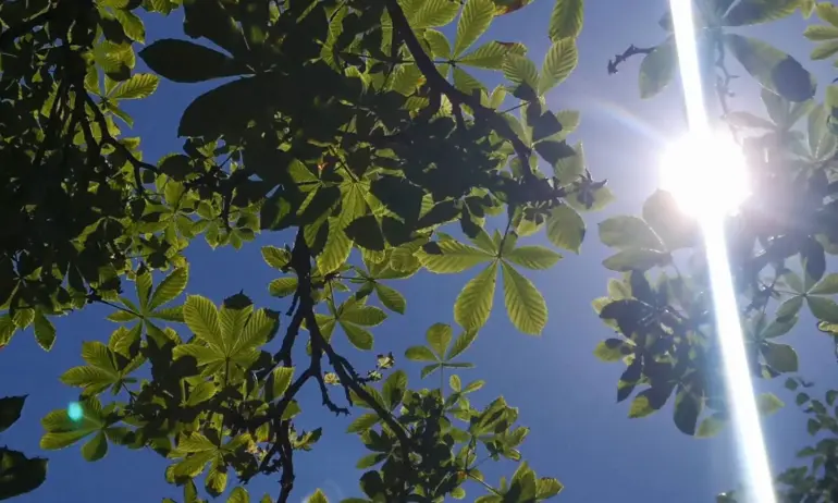 Слънчева събота с температури до 33 градуса - Tribune.bg