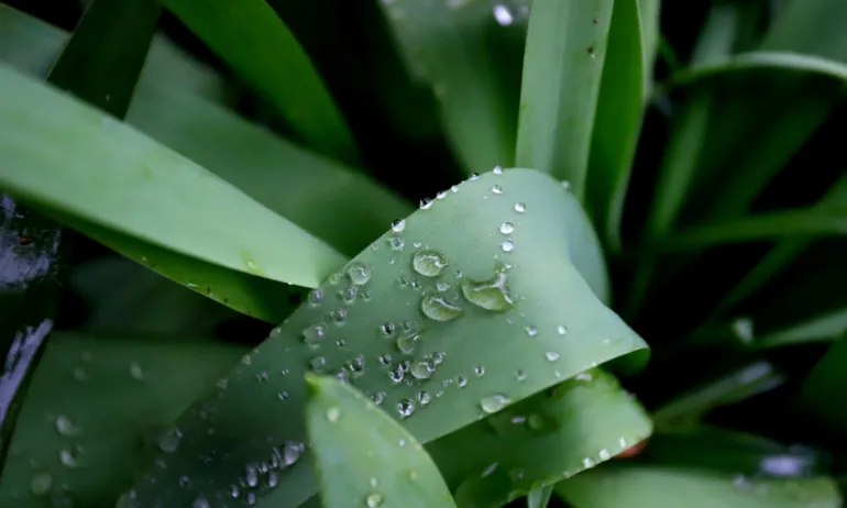 Студ и силен вятър в 9 области - Tribune.bg