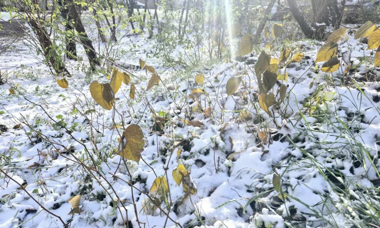 Минусови температури сутринта в неделя, но слънце през деня - Tribune.bg