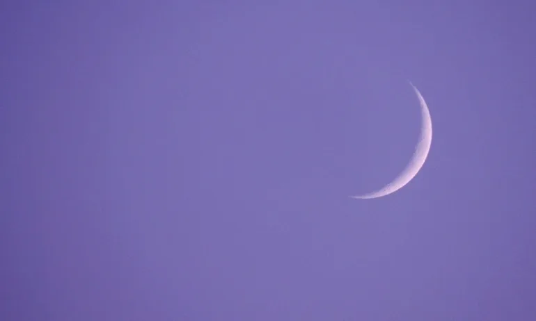 Новолуние в Лъв - Tribune.bg