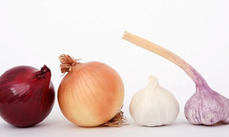 Антивирусната смес на д-р Ричард Шулц - Tribune.bg