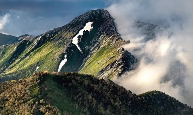 България е пред национална катастрофа заради апокалиптичен доклад, писан от червени фирми и Зелените - Tribune.bg