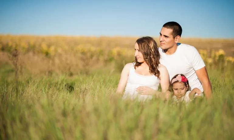 Седемте годишни цикъла - Tribune.bg