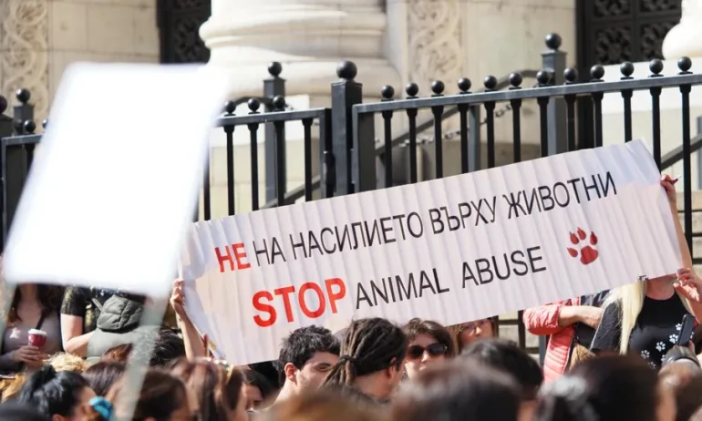 Перник на протест срещу насилието над животни - Tribune.bg