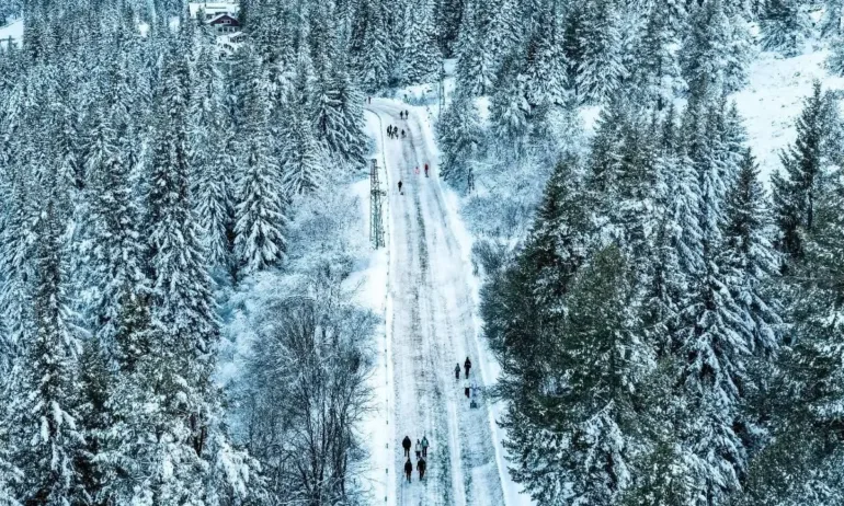 Отново затварят пътищата към Витоша през уикенда - Tribune.bg