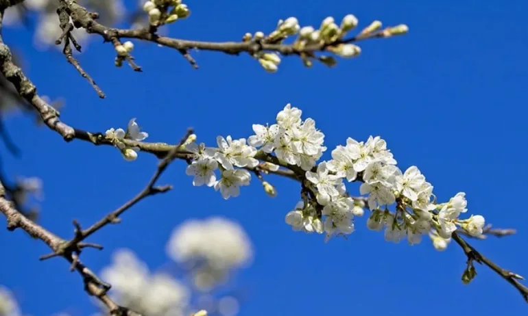 Времето остава топло, но с валежи - Tribune.bg