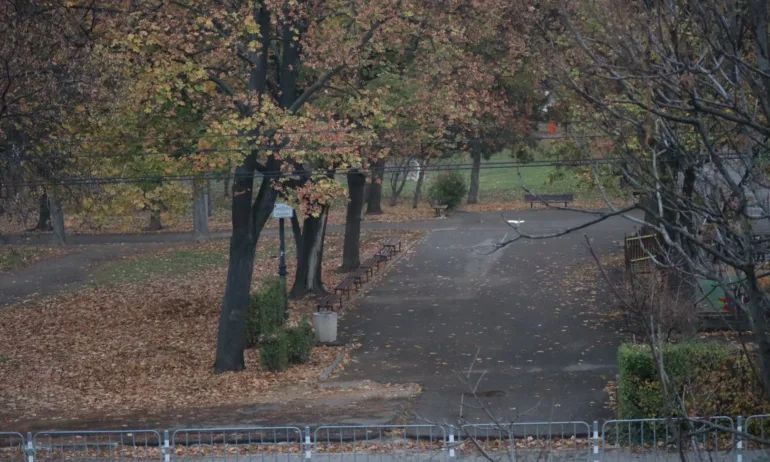 Предимно облачно, температурите между 4° и 9° - Tribune.bg