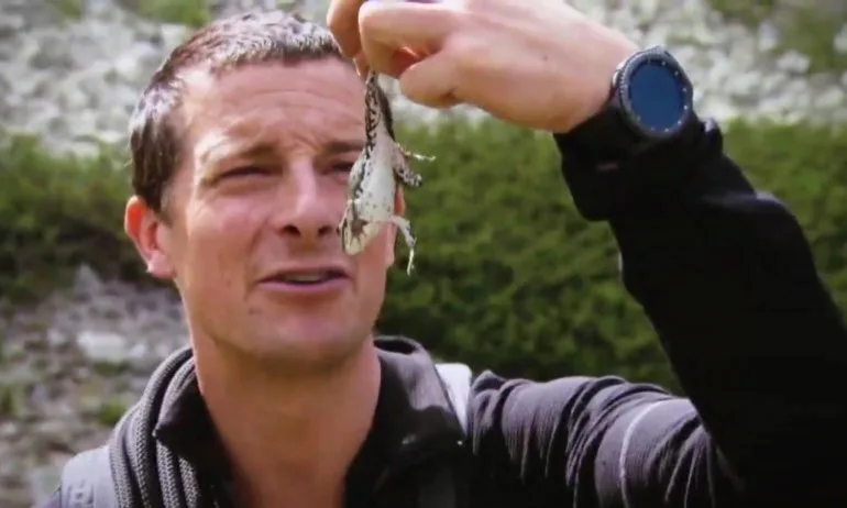 Дискавъри с отговор за снимките на Беър Грилс в парк Рила - Tribune.bg